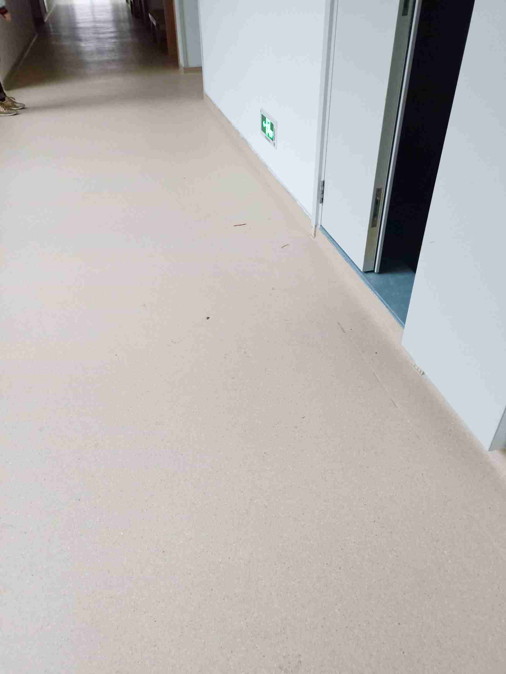 91视频网页版