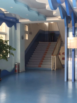 91视频网页版