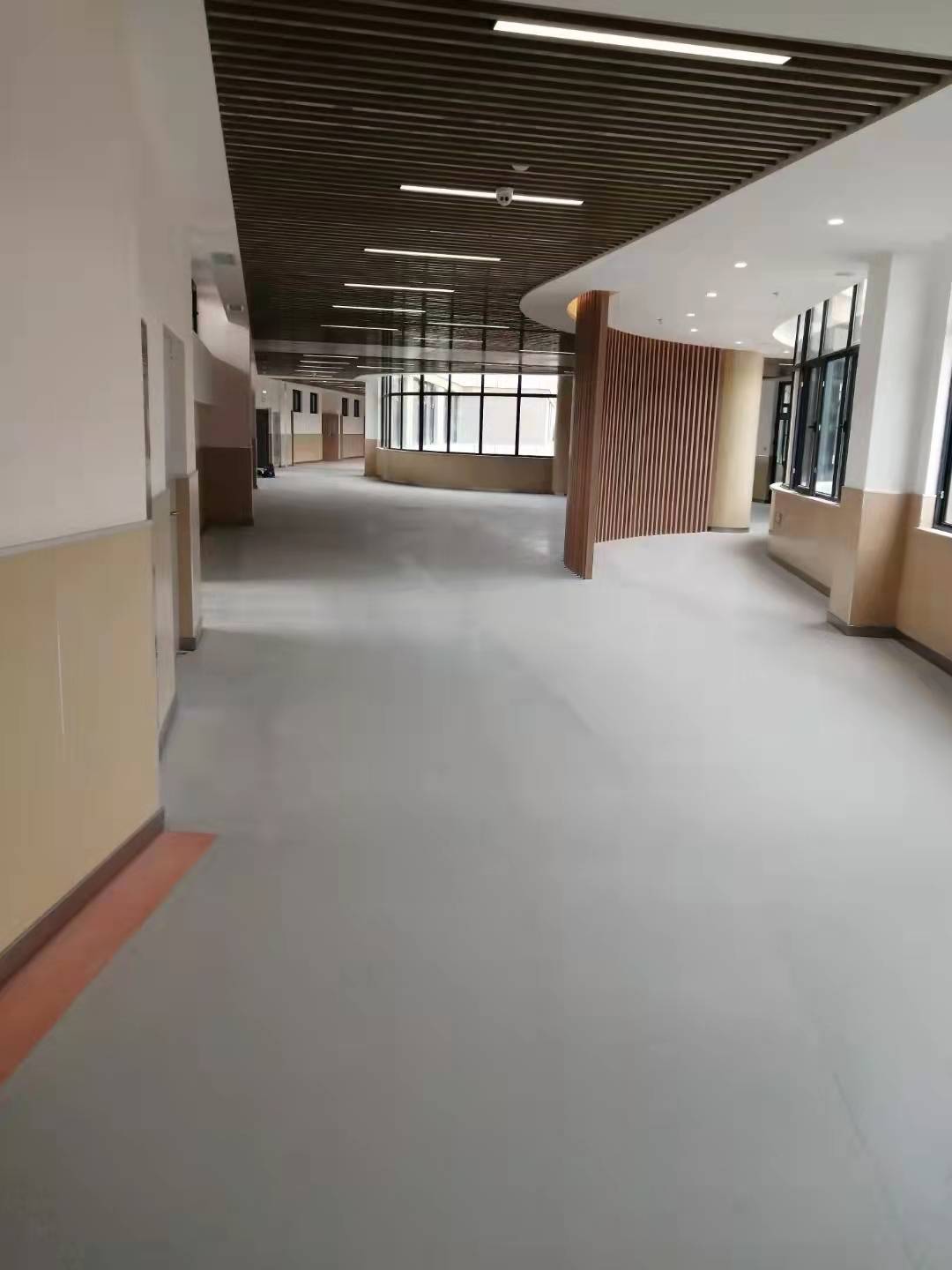 91视频网页版