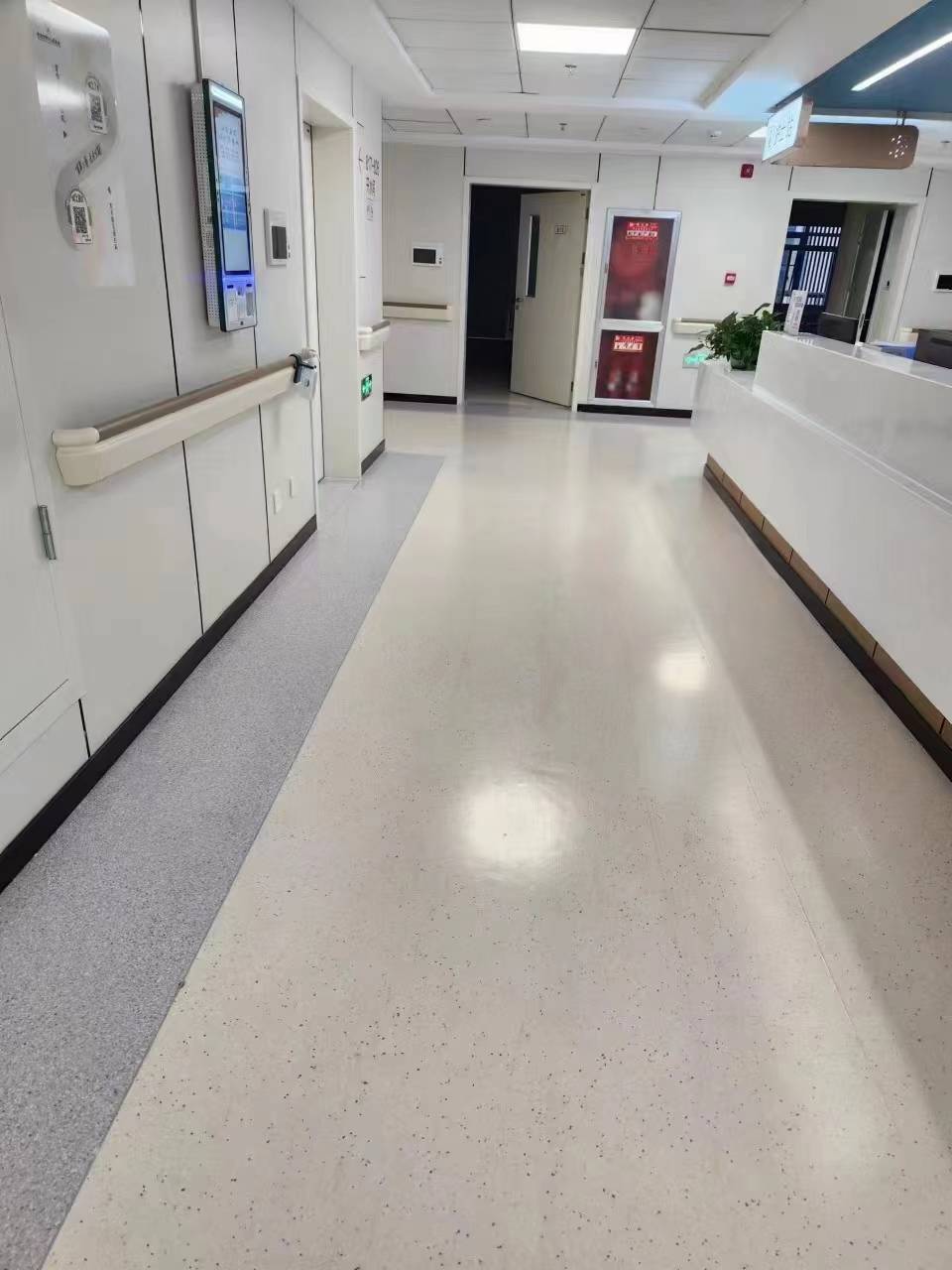 91视频网页版