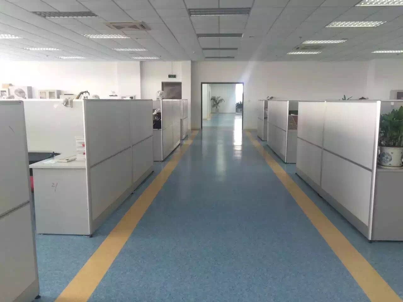91视频网页版