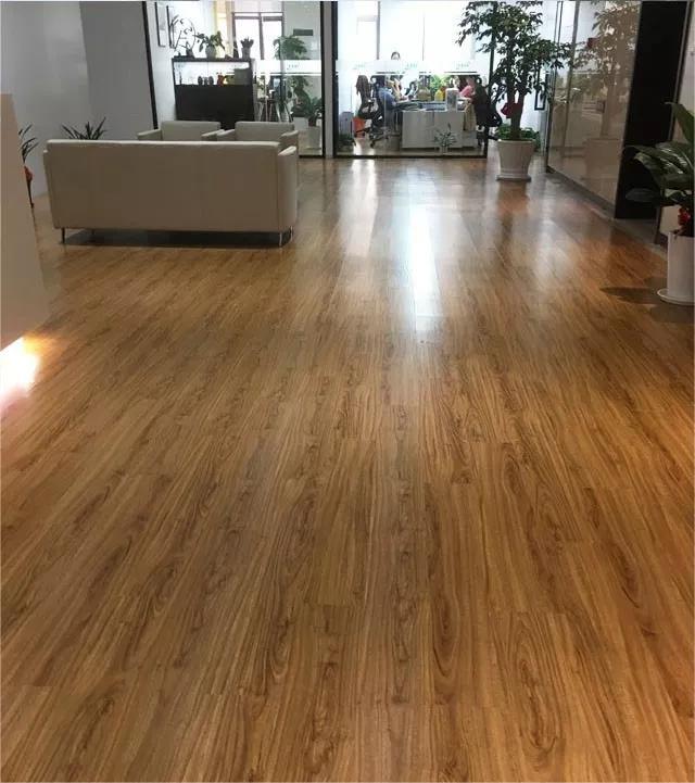 91视频网页版